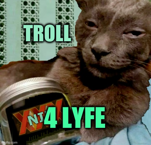 TROLL 4 LYFE | image tagged in shiposta 4 lyfe | made w/ Imgflip meme maker