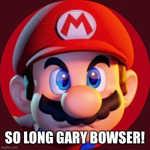 Super Mario Too Dank | SO LONG GARY BOWSER! | image tagged in super mario too dank | made w/ Imgflip meme maker