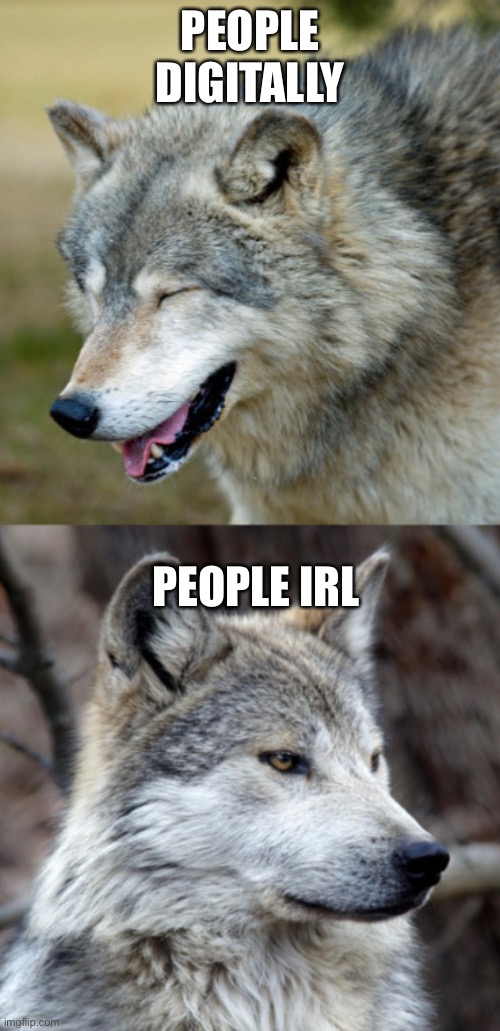 True dat | PEOPLE DIGITALLY; PEOPLE IRL | image tagged in haha-no-wolf,funny memes,fun | made w/ Imgflip meme maker