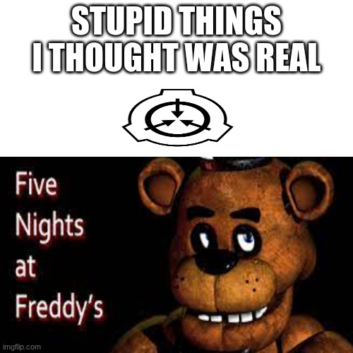 things i thought was real when i was a kid | STUPID THINGS I THOUGHT WAS REAL | image tagged in memes | made w/ Imgflip meme maker