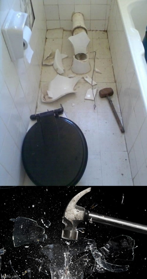 Crashed toilet | image tagged in hammer smash,toilet,you had one job,memes,meme,crash | made w/ Imgflip meme maker