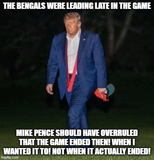 Sad Trump | THE BENGALS WERE LEADING LATE IN THE GAME; MIKE PENCE SHOULD HAVE OVERRULED THAT THE GAME ENDED THEN! WHEN I WANTED IT TO! NOT WHEN IT ACTUALLY ENDED! | image tagged in sad trump | made w/ Imgflip meme maker