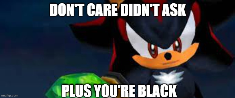hot topic the hedgehog | DON'T CARE DIDN'T ASK; PLUS YOU'RE BLACK | image tagged in hot topic the hedgehog | made w/ Imgflip meme maker