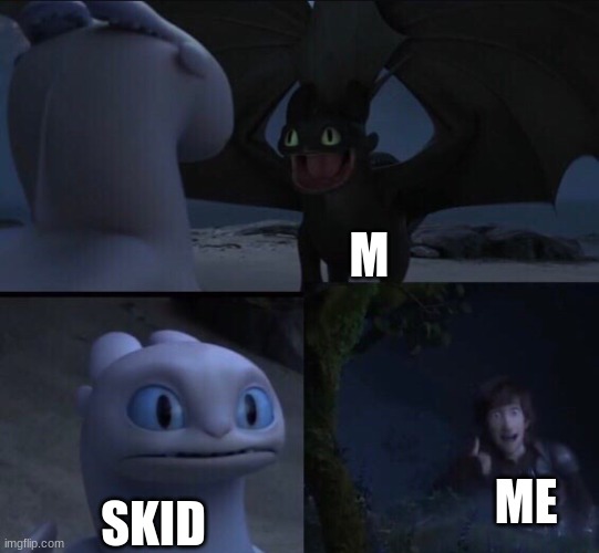 How to train your dragon 3 | M; ME; SKID | image tagged in how to train your dragon 3 | made w/ Imgflip meme maker