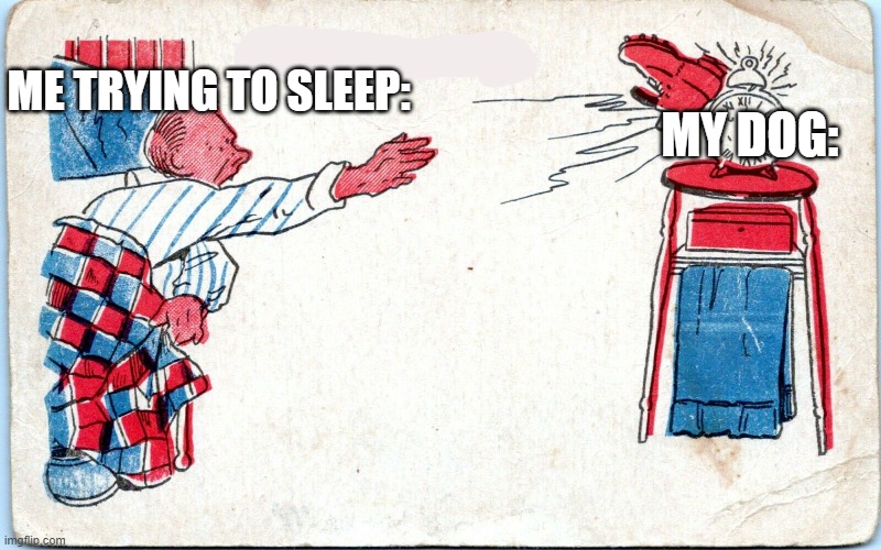 Is this you? Give an upvote if yes. |  MY DOG:; ME TRYING TO SLEEP: | image tagged in man throw boot at alarm clock,dogs,trying to sleep | made w/ Imgflip meme maker