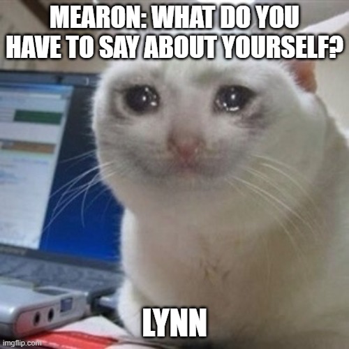 Crying cat | MEARON: WHAT DO YOU HAVE TO SAY ABOUT YOURSELF? LYNN | image tagged in crying cat | made w/ Imgflip meme maker