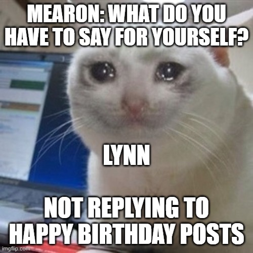 Crying cat | MEARON: WHAT DO YOU HAVE TO SAY FOR YOURSELF? LYNN; NOT REPLYING TO HAPPY BIRTHDAY POSTS | image tagged in crying cat | made w/ Imgflip meme maker