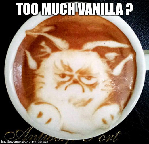 Grumpy Cat Coffee | TOO MUCH VANILLA ? | image tagged in grumpy cat coffee | made w/ Imgflip meme maker