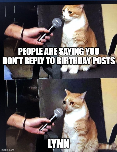 Cat interview crying | PEOPLE ARE SAYING YOU DON'T REPLY TO BIRTHDAY POSTS; LYNN | image tagged in cat interview crying | made w/ Imgflip meme maker