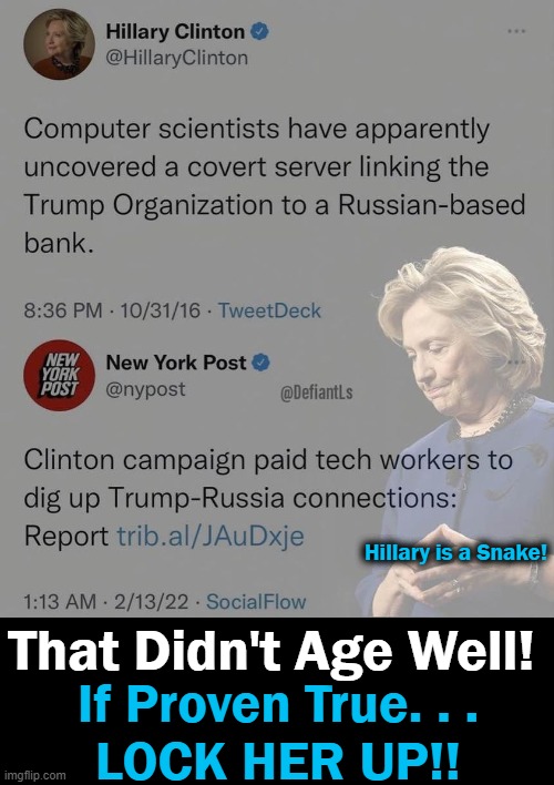 I want to see punishment for Hillary et al.... | Hillary is a Snake! That Didn't Age Well! If Proven True. . .
LOCK HER UP!! | image tagged in politics,donald trump,hillary clinton,spying,punishment,lock her up | made w/ Imgflip meme maker