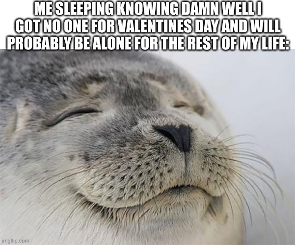 The only kind of love I need is the one I already have from my family | ME SLEEPING KNOWING DAMN WELL I GOT NO ONE FOR VALENTINES DAY AND WILL PROBABLY BE ALONE FOR THE REST OF MY LIFE: | image tagged in memes,satisfied seal | made w/ Imgflip meme maker