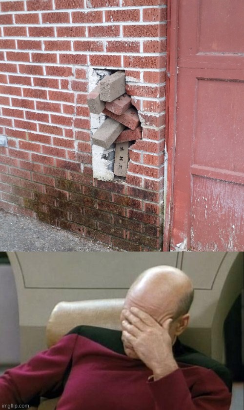 *confused unga bunga* | image tagged in memes,captain picard facepalm,you had one job,confused unga bunga,brick,wall | made w/ Imgflip meme maker