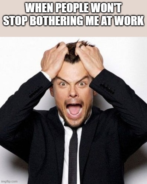 People Won't Stop Bothering Me At Work | WHEN PEOPLE WON'T STOP BOTHERING ME AT WORK | image tagged in stupid people,bothering,work,working,funny,memes | made w/ Imgflip meme maker