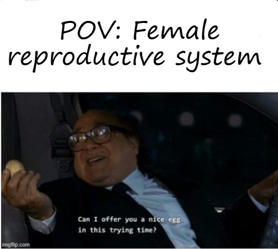 I am unfunny  | POV: Female reproductive system | image tagged in can i offer you an egg | made w/ Imgflip meme maker