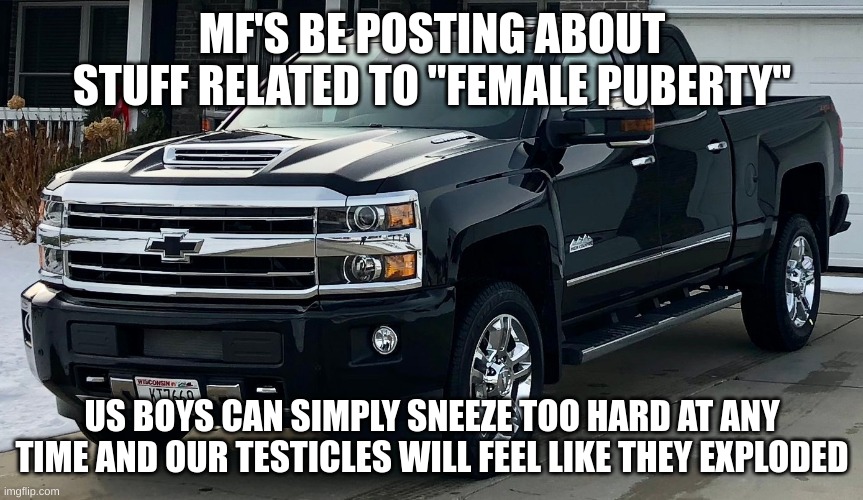 ik i'm finna get killed but try unsubscribing | MF'S BE POSTING ABOUT STUFF RELATED TO "FEMALE PUBERTY"; US BOYS CAN SIMPLY SNEEZE TOO HARD AT ANY TIME AND OUR TESTICLES WILL FEEL LIKE THEY EXPLODED | image tagged in josh's dream truck | made w/ Imgflip meme maker