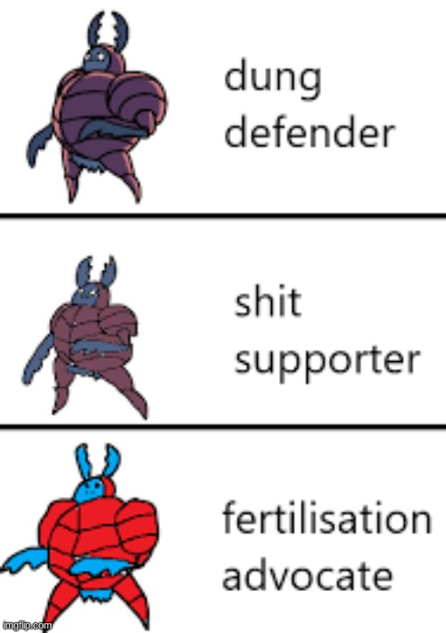 dung defender got himself a nasty case of simplification | image tagged in dung defender,hollow knight | made w/ Imgflip meme maker