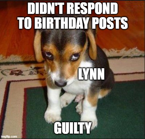 SAD DOG | DIDN'T RESPOND TO BIRTHDAY POSTS; LYNN; GUILTY | image tagged in sad dog | made w/ Imgflip meme maker