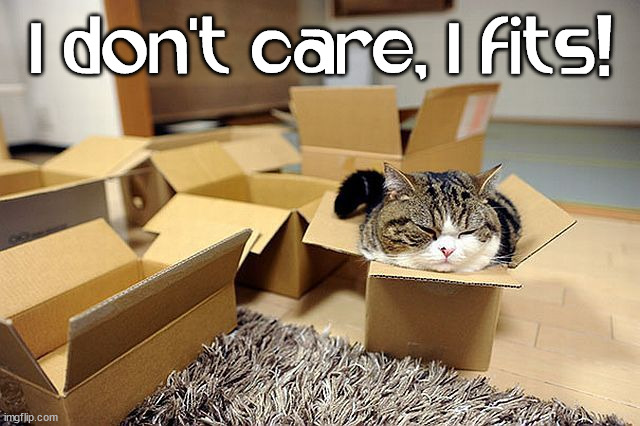 I don't care, I fits! | image tagged in meme,cat,tiddies | made w/ Imgflip meme maker