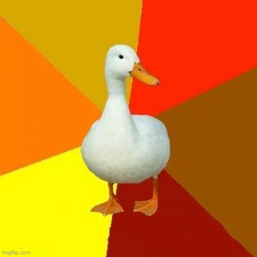 dux | image tagged in memes,tech impaired duck | made w/ Imgflip meme maker