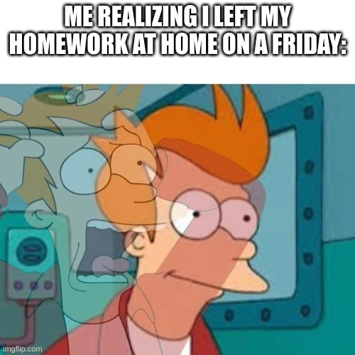 fry | ME REALIZING I LEFT MY HOMEWORK AT HOME ON A FRIDAY: | image tagged in fry | made w/ Imgflip meme maker