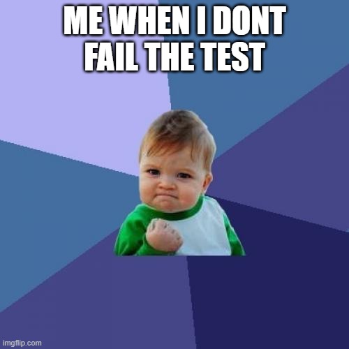 Success Kid | ME WHEN I DONT FAIL THE TEST | image tagged in memes,success kid | made w/ Imgflip meme maker