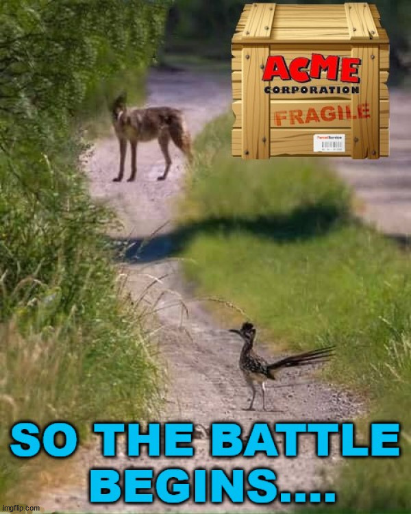 Meep Meep | image tagged in road runner,wile e coyote | made w/ Imgflip meme maker