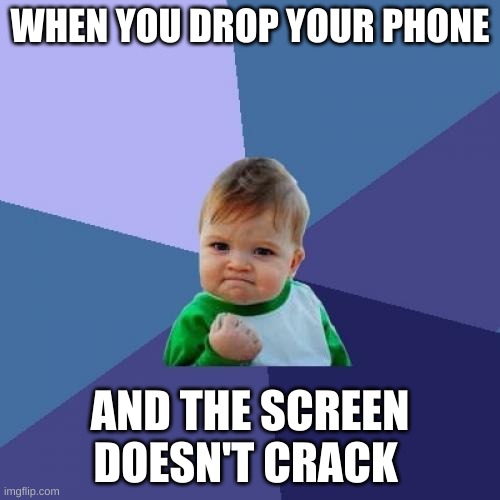 Success Kid Meme | WHEN YOU DROP YOUR PHONE; AND THE SCREEN DOESN'T CRACK | image tagged in memes,success kid | made w/ Imgflip meme maker