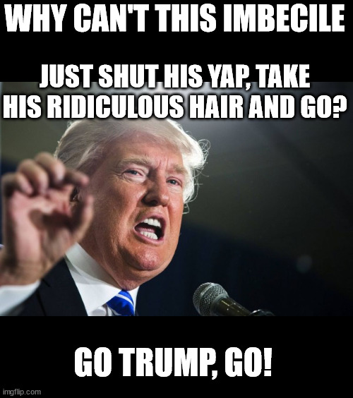 donald trump | WHY CAN'T THIS IMBECILE; JUST SHUT HIS YAP, TAKE HIS RIDICULOUS HAIR AND GO? GO TRUMP, GO! | image tagged in donald trump | made w/ Imgflip meme maker