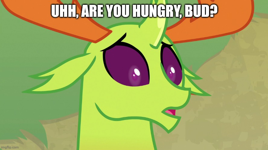 Confused Thorax (MLP) | UHH, ARE YOU HUNGRY, BUD? | image tagged in confused thorax mlp | made w/ Imgflip meme maker
