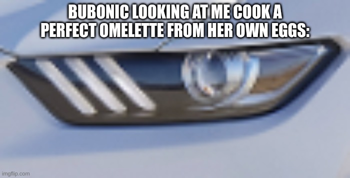 *she looks at roy's bulge using her right eye* | BUBONIC LOOKING AT ME COOK A PERFECT OMELETTE FROM HER OWN EGGS: | made w/ Imgflip meme maker