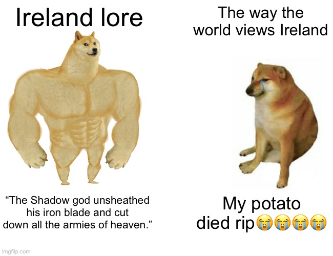 Buff Doge vs. Cheems Meme | Ireland lore; The way the world views Ireland; “The Shadow god unsheathed his iron blade and cut down all the armies of heaven.”; My potato died rip😭😭😭😭 | image tagged in memes,buff doge vs cheems | made w/ Imgflip meme maker