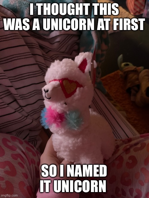 Unicorn the Llama | I THOUGHT THIS WAS A UNICORN AT FIRST; SO I NAMED IT UNICORN | made w/ Imgflip meme maker
