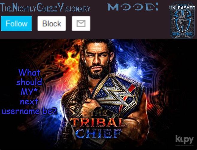 sorry for the confusion | What should MY* next username be? | image tagged in thenightlycheezvisionary roman reigns temp v2 | made w/ Imgflip meme maker