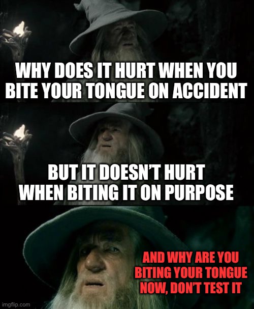 Tongues be like | WHY DOES IT HURT WHEN YOU BITE YOUR TONGUE ON ACCIDENT; BUT IT DOESN’T HURT WHEN BITING IT ON PURPOSE; AND WHY ARE YOU BITING YOUR TONGUE NOW, DON’T TEST IT | image tagged in memes,confused gandalf,tongue,pain | made w/ Imgflip meme maker