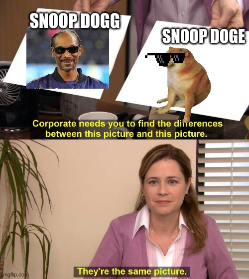 snoop doge vs snoop dogg | SNOOP DOGG; SNOOP DOGE | image tagged in they are the same picture,snoop dogg,doge | made w/ Imgflip meme maker