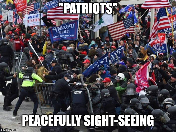 Cop-killer MAGA right wing Capitol Riot January 6th | "PATRIOTS"; PEACEFULLY SIGHT-SEEING | image tagged in cop-killer maga right wing capitol riot january 6th | made w/ Imgflip meme maker