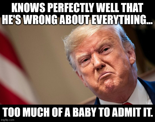 crybaby Trump | KNOWS PERFECTLY WELL THAT HE'S WRONG ABOUT EVERYTHING... TOO MUCH OF A BABY TO ADMIT IT. | image tagged in crybaby trump | made w/ Imgflip meme maker
