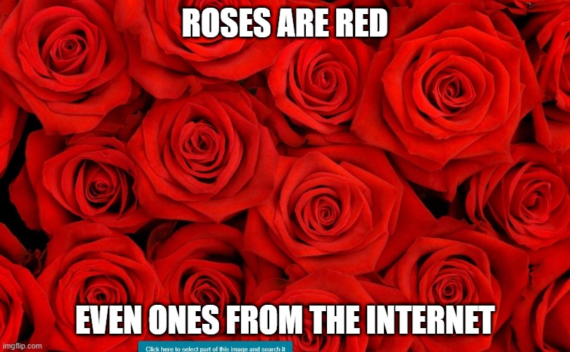 ROSES ARE RED; EVEN ONES FROM THE INTERNET | made w/ Imgflip meme maker