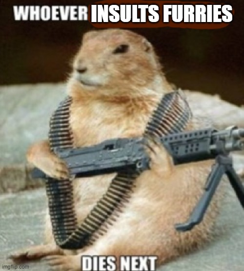 squirrel gun | INSULTS FURRIES | image tagged in squirrel gun | made w/ Imgflip meme maker