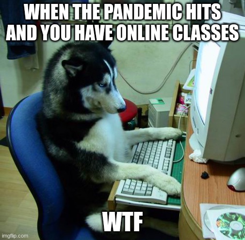 I Have No Idea What I Am Doing |  WHEN THE PANDEMIC HITS AND YOU HAVE ONLINE CLASSES; WTF | image tagged in memes,i have no idea what i am doing | made w/ Imgflip meme maker