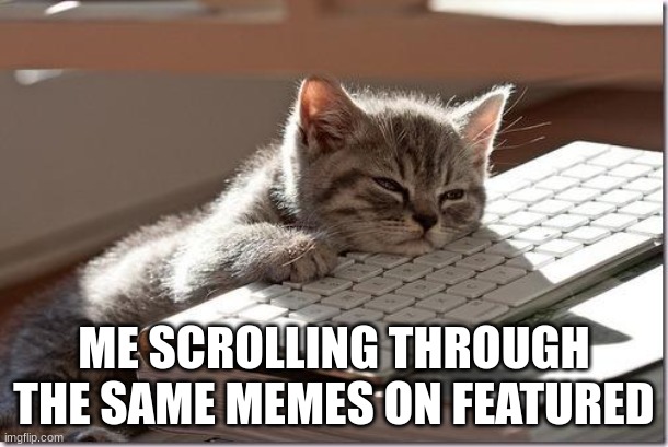 Bored Keyboard Cat | ME SCROLLING THROUGH THE SAME MEMES ON FEATURED | image tagged in bored keyboard cat | made w/ Imgflip meme maker