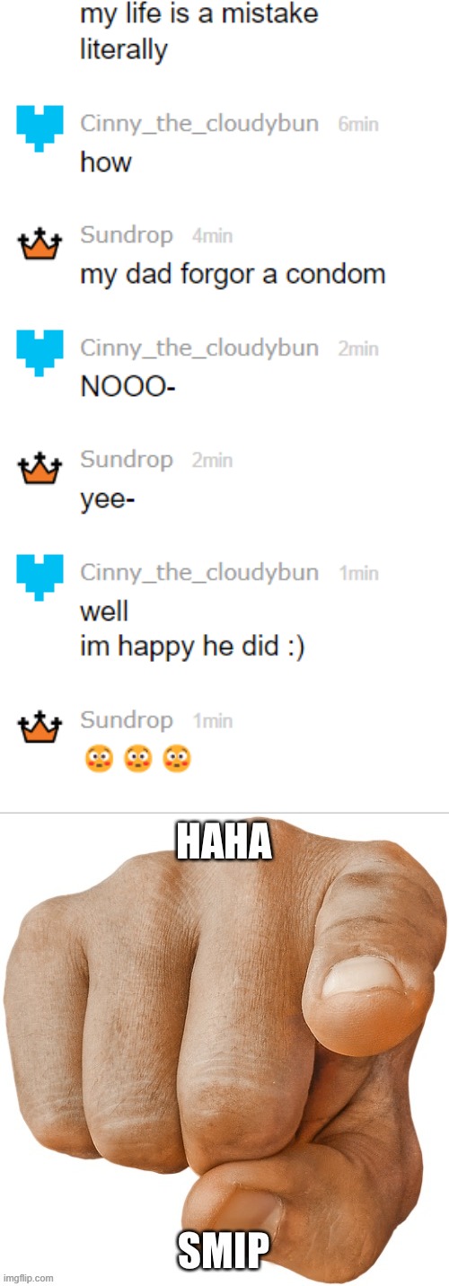 image tagged in haha smip | made w/ Imgflip meme maker