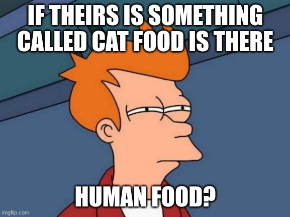 bad | IF THEIRS IS SOMETHING CALLED CAT FOOD IS THERE; HUMAN FOOD? | image tagged in memes,futurama fry | made w/ Imgflip meme maker
