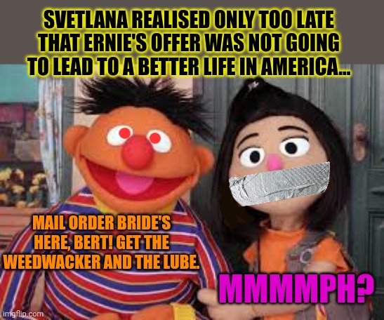 Wait. That's illegal. | SVETLANA REALISED ONLY TOO LATE THAT ERNIE'S OFFER WAS NOT GOING TO LEAD TO A BETTER LIFE IN AMERICA... MAIL ORDER BRIDE'S HERE, BERT! GET THE WEEDWACKER AND THE LUBE. MMMMPH? | image tagged in wait thats illegal,bert and ernie,mailorder bride,sesame street,torture | made w/ Imgflip meme maker