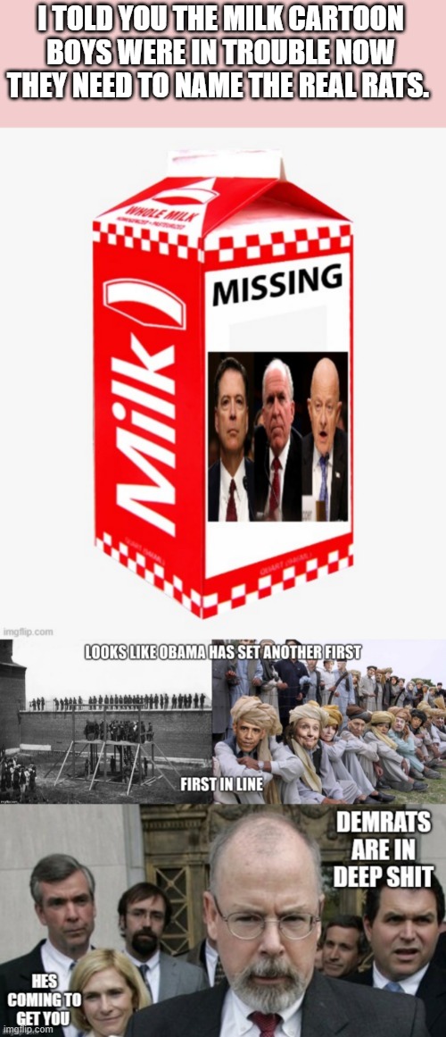 ALL OF THE NWO DEMrats are criminals | I TOLD YOU THE MILK CARTOON BOYS WERE IN TROUBLE NOW THEY NEED TO NAME THE REAL RATS. | image tagged in we are number one | made w/ Imgflip meme maker