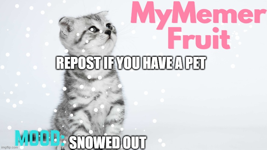 MyMemerFruit Temp 2 | REPOST IF YOU HAVE A PET; SNOWED OUT | image tagged in mymemerfruit temp 2 | made w/ Imgflip meme maker