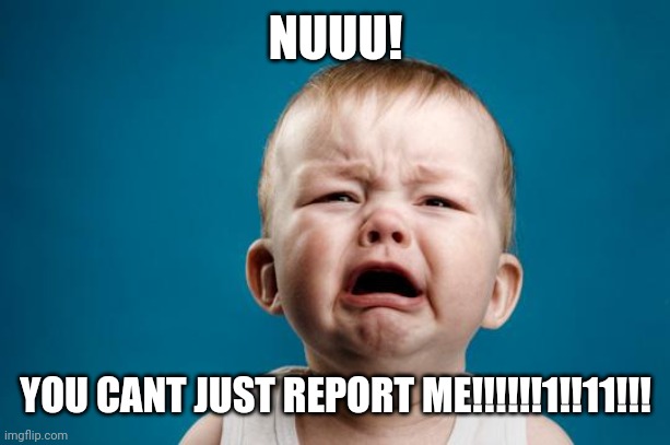 BABY CRYING | NUUU! YOU CANT JUST REPORT ME!!!!!!1!!11!!! | image tagged in baby crying | made w/ Imgflip meme maker