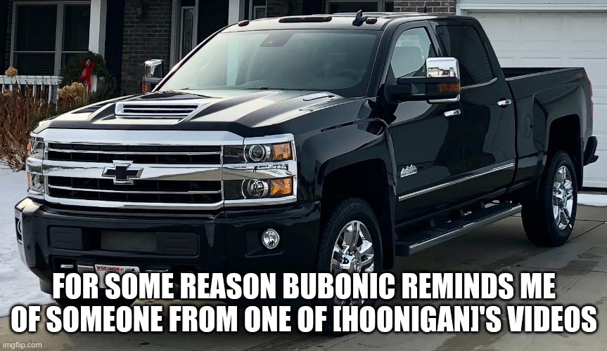 i mean, she looks familiar | FOR SOME REASON BUBONIC REMINDS ME OF SOMEONE FROM ONE OF [HOONIGAN]'S VIDEOS | image tagged in josh's dream truck | made w/ Imgflip meme maker