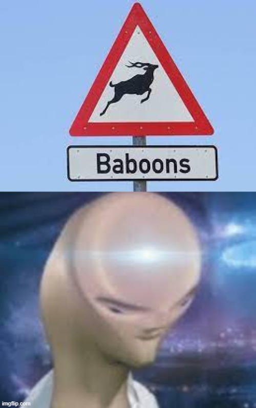 ah yes, baboons | image tagged in funny,memes,funny memes,dank memes,dank,baboon | made w/ Imgflip meme maker