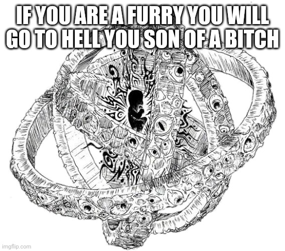 Cursed Angel | IF YOU ARE A FURRY YOU WILL GO TO HELL YOU SON OF A BITCH | image tagged in cursed angel | made w/ Imgflip meme maker